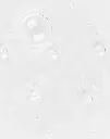 PURIFY_TXR.webp